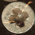 128399-screw3.JPG