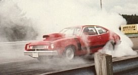 78663-460Pinto2.jpg
