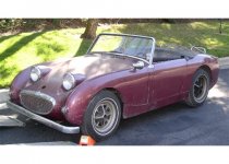 165957-Bugeye1-22-06.jpg