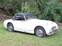 183126-newbug.jpg