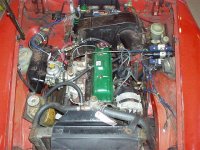 199397-mg004.jpg