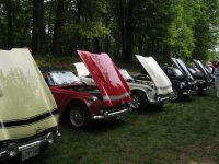 207942-tr250lineup.JPG