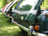 207944-tr250lineup2.JPG