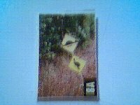 237897-Picture15.jpg