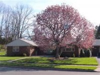 16653.jpg