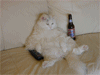 16835.gif