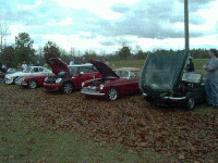 17356.gif
