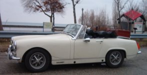 19639.jpg