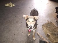 20867.jpg