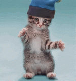 25552.gif