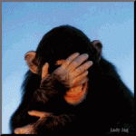 23658.gif