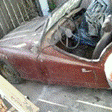 25025.gif
