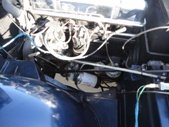 25281.jpg