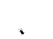 26104.gif
