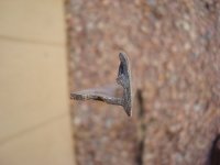 26460.jpg