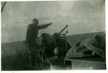 28754.jpg