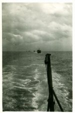 28755.jpg