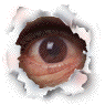 29382.gif