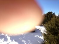 thumb.jpg
