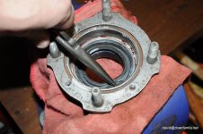 DSC_9978.jpg DSC_9978.jpg