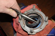 DSC_9979.jpg DSC_9979.jpg