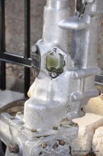 DSC_9948.jpg DSC_9948.jpg