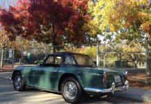 TR4A fall colors.jpg