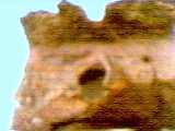 237834-Picture14.jpg