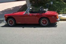249897-midget1a.jpg