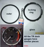 249929-speedo2.jpg