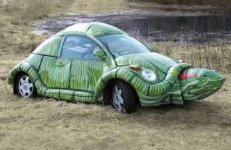 252331-Turtlebug.jpg