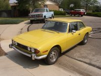 255030-STAGLF.JPG