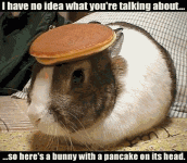 263821-bunny-pancake.gif