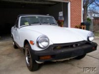 263318-miget%20front.jpg