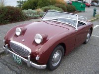 286068-33d6_3BUGEYE.jpg