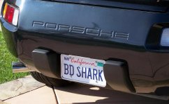 284872-BD_Shark.JPG