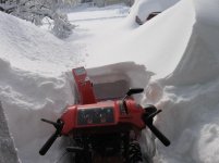 IMG_1117.jpg