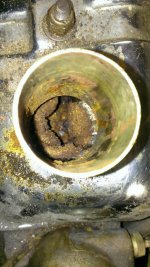 WP_20130307_003.jpg