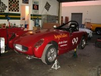 speedwellbonnet.jpg speedwellbonnet.jpg