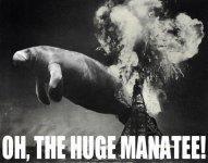 hugemanatee_original.jpg