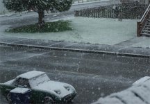 snowybirthday.jpg snowybirthday.jpg