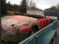 20012 04 06 Bugsy II comes home 019.JPG