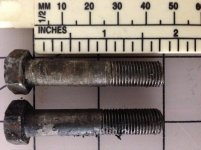 IMG_0183.jpg IMG_0183.jpg