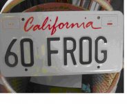 70 frog.JPG 70 frog.JPG