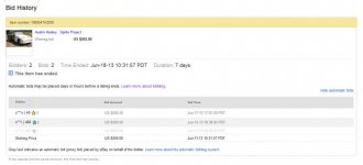 eBayMotors Item Bid History 2013-07-10 20-24-15.jpg eBayMotors Item Bid History 2013-07-10 20-24-15.jpg