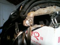 Pictures from Galaxy S Phone 2013.05.22 003.jpg