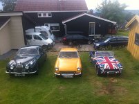BackYardLineUp.jpg