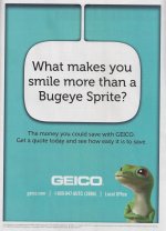 Geico Ad.jpg