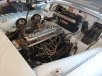 DSCI6582.JPG DSCI6582.JPG