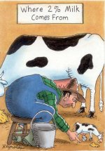 2%Milk.jpg